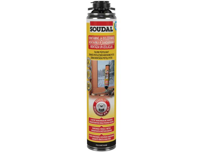 Püstolivaht kollane talv 750ml