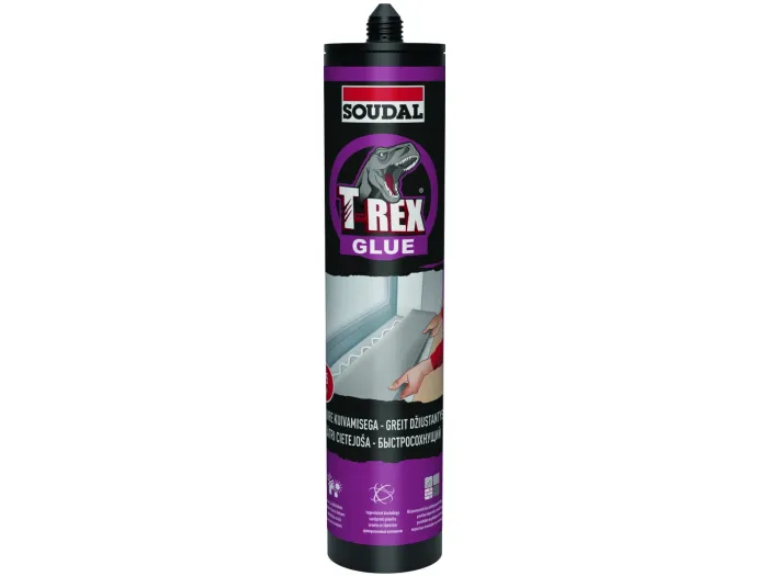 T-Rex kiire kuivamisega 310ml
