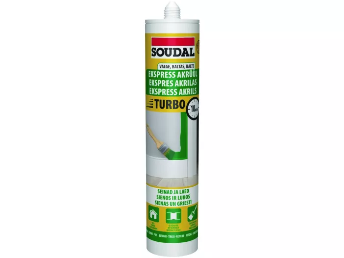 Ekspress Ülevärvitav hermeetik Valge 280ml